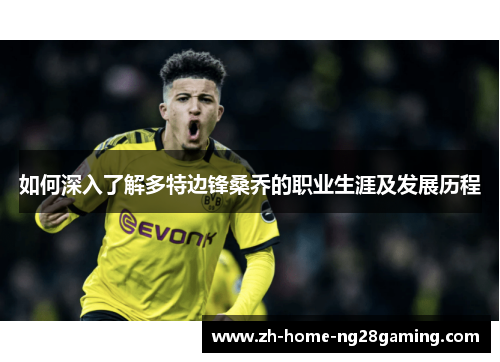 如何深入了解多特边锋桑乔的职业生涯及发展历程