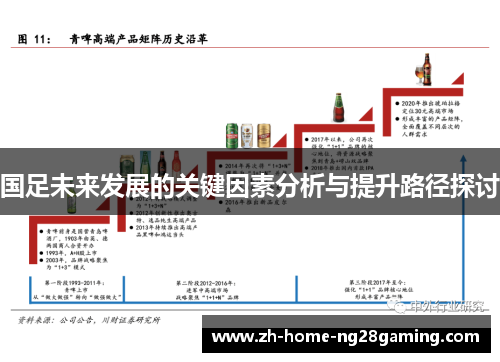 国足未来发展的关键因素分析与提升路径探讨