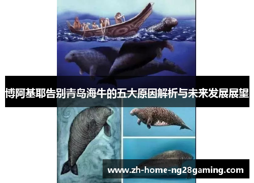 博阿基耶告别青岛海牛的五大原因解析与未来发展展望
