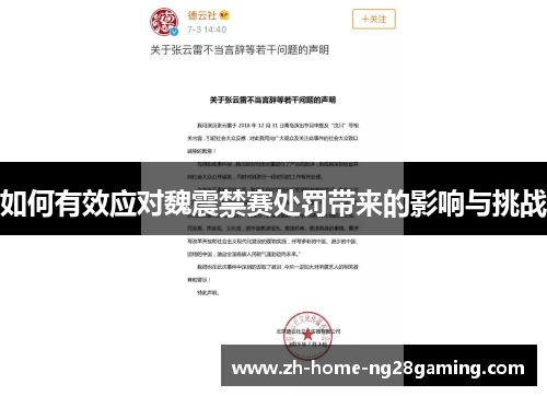 如何有效应对魏震禁赛处罚带来的影响与挑战