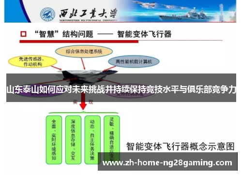 山东泰山如何应对未来挑战并持续保持竞技水平与俱乐部竞争力
