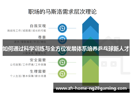 如何通过科学训练与全方位发展体系培养乒乓球新人才