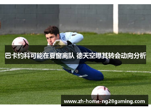 巴卡约科可能在夏窗离队 德天空曝其转会动向分析