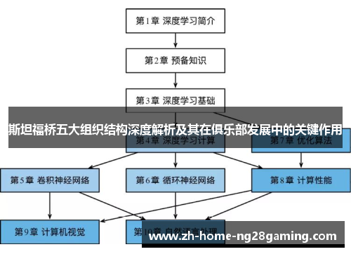 斯坦福桥五大组织结构深度解析及其在俱乐部发展中的关键作用