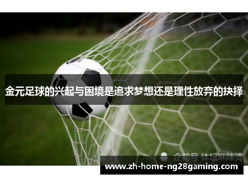 金元足球的兴起与困境是追求梦想还是理性放弃的抉择 金元足球的兴起与困境是追求梦想还是理性放弃的抉择