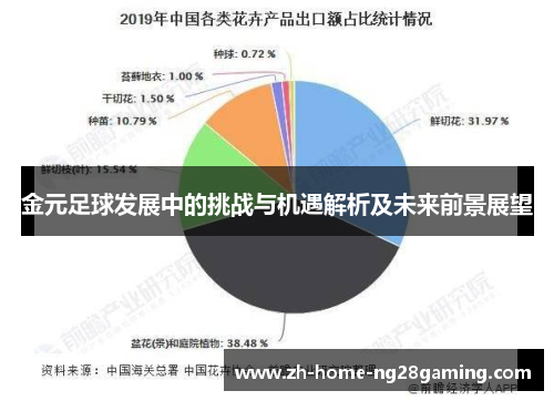 金元足球发展中的挑战与机遇解析及未来前景展望 金元足球发展中的挑战与机遇解析及未来前景展望