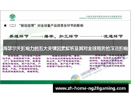 海瑟尔关影响力的五大关键因素解析及其对全球局势的深远影响