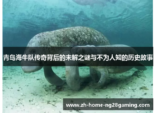 青岛海牛队传奇背后的未解之谜与不为人知的历史故事