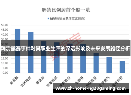 魏震禁赛事件对其职业生涯的深远影响及未来发展路径分析