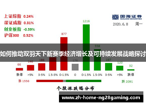 如何推动双羽天下新赛季经济增长及可持续发展战略探讨