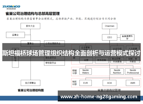斯坦福桥球场管理组织结构全面剖析与运营模式探讨