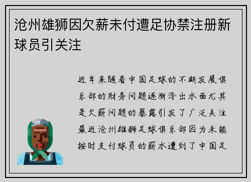 沧州雄狮因欠薪未付遭足协禁注册新球员引关注 沧州雄狮因欠薪未付遭足协禁注册新球员引关注