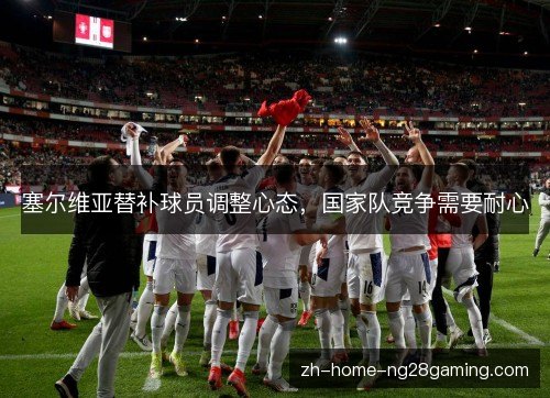塞尔维亚替补球员调整心态,国家队竞争需要耐心 塞尔维亚替补球员调整心态,国家队竞争需要耐心